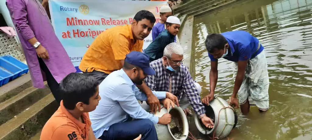 রোটারী ক্লাব অব সিলেট রিজেন্সীর মাছের পোনা অবমুক্তকরণ