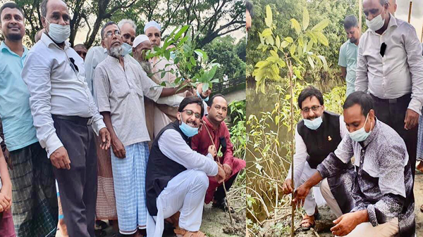 শোক দিবস উপলক্ষে জগন্নাথপুরে বৃক্ষরোপন