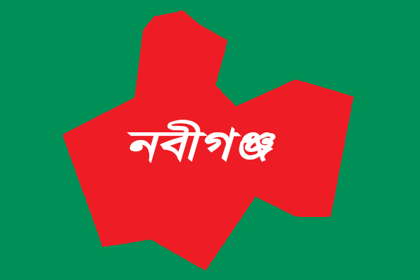 নবীগঞ্জে আগুনে পুড়ে এক নারীর মৃত্যু