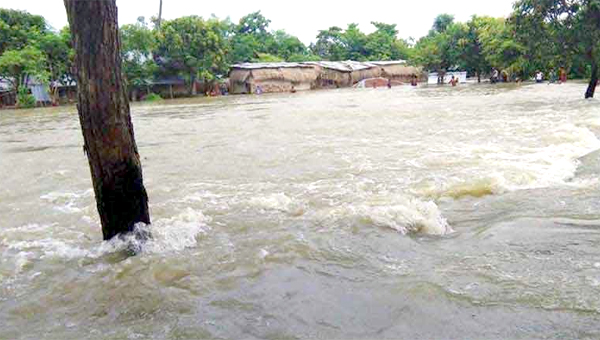 হাওর রক্ষা বাঁধের শতকোটি টাকা পানিতে