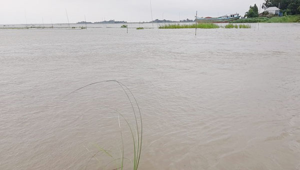 এখনও বিপৎসীমার উপরে সুরমা-কুশিয়ারা