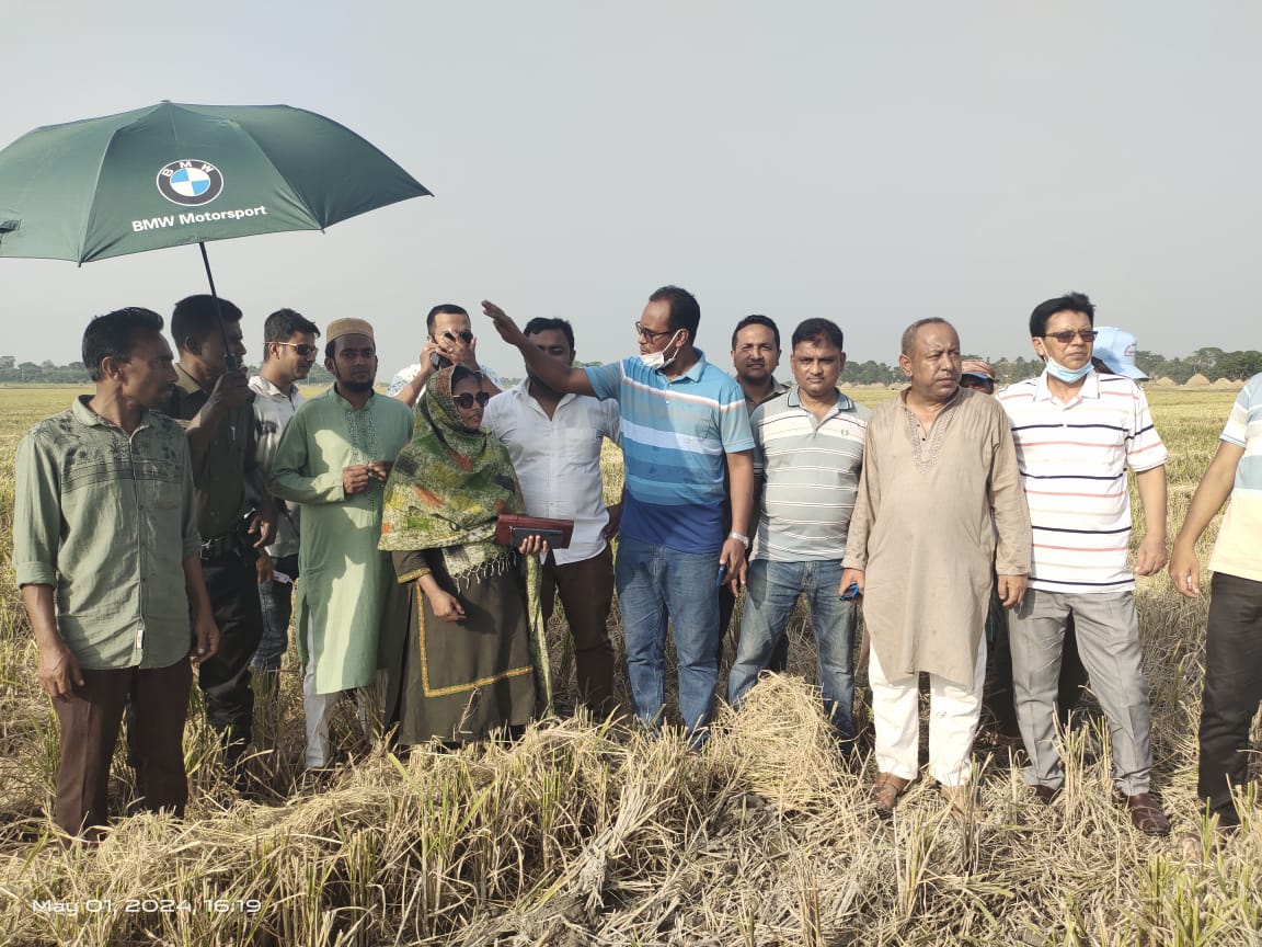 জামালগঞ্জে হাওরে ধান কাটা কার্যক্রম পরিদর্শন করলেন ইউএনও মুশফিকীন নূর