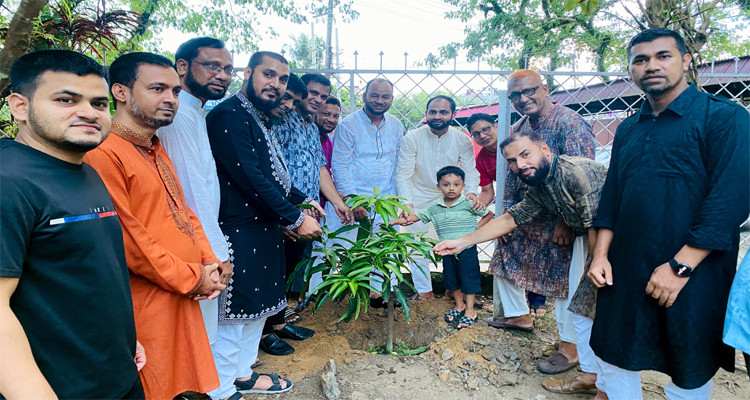 এপেক্স ক্লাব অব সিলেটের বৃক্ষরোপণ কর্মসূচি সম্পন্ন