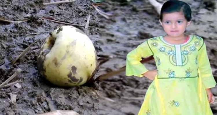 শিশু মুনতাহার জীবনের শেষ খাবার ছিল আপেলই