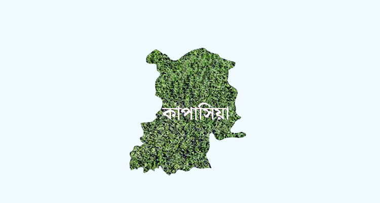 কাপাসিয়ায় সাবেক ছাত্রনেতা আজিজুলের রাজনৈতিক পরিচয় ও ফেসবুক পোস্টের জেরে ভয়াবহ ‘মব জাস্টিস’, অত:পর দেশত্যাগ