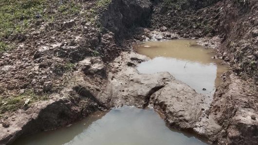 ইজারাদারদের মাছ শিকারে হাওরের বাঁধ কেটে সর্বনাশ