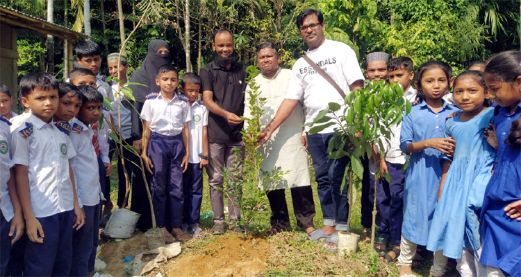 জলবায়ু পরিবর্তনের মোকাবেলায় বৃক্ষরোপণের বিকল্প নেই: গোলজার আহমদ হেলাল