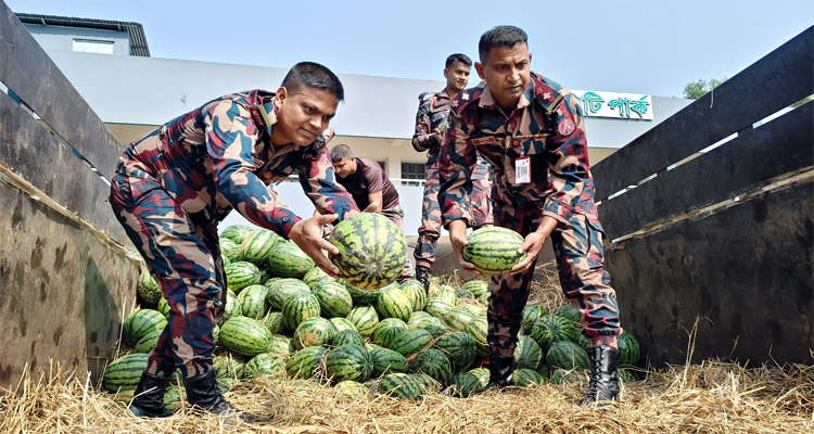 মাধবপুরে তরমুজ বোঝাই ট্রাকেই ধরা পড়ল জিরা চোরাচালান