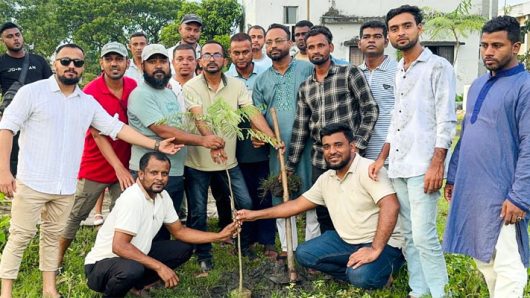 প্রতিষ্ঠাবার্ষিকীতে দক্ষিণ সুরমা উপজেলা স্বেচ্ছাসেবক দলের বৃক্ষরোপন কর্মসূচি
